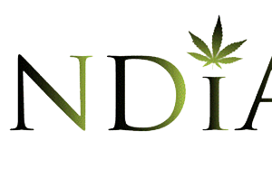 India Cosmetics